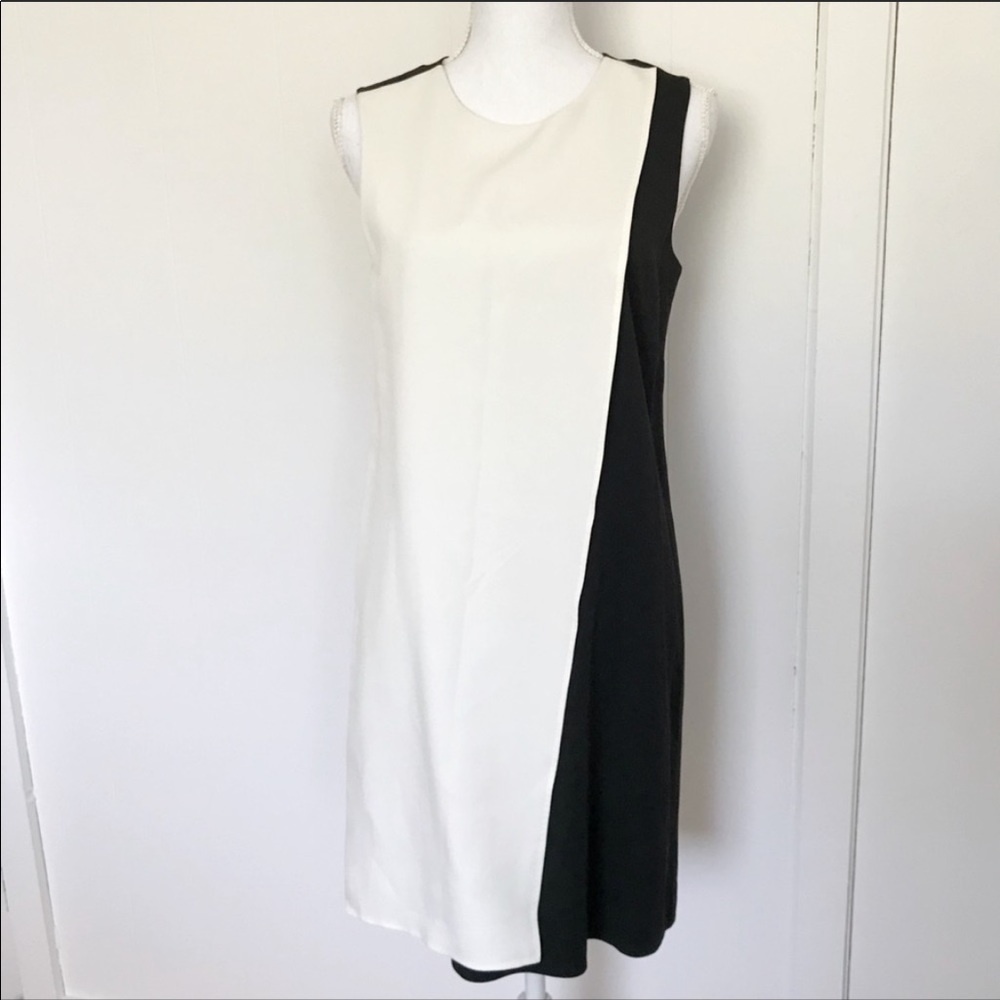 Theory black and white silk layered dress (size 6)